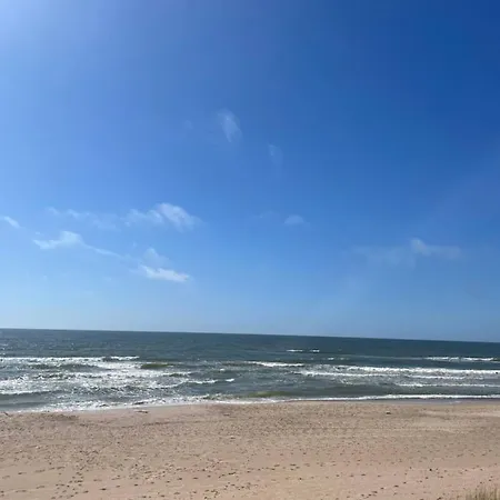 Cozy Vaivorykstes Apartment Palanga Buitenkant foto